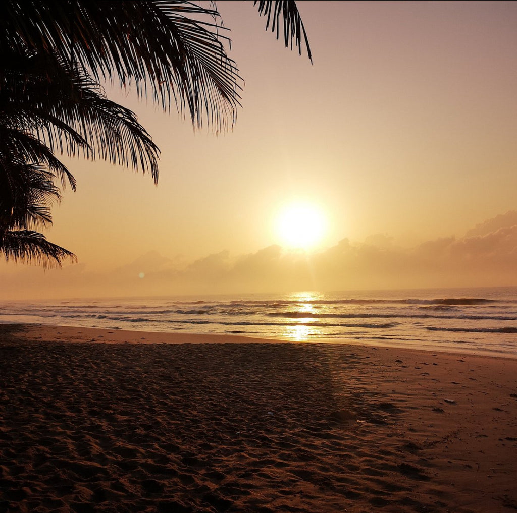 The Asante Ghana Experience
April 4–11, 2027